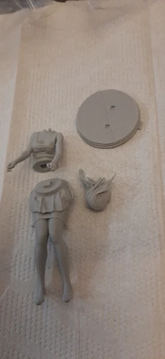 Buyer photo of this resin kit