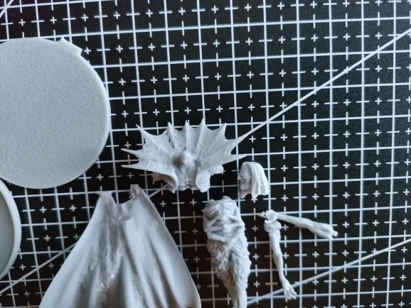 Buyer photo of this resin kit