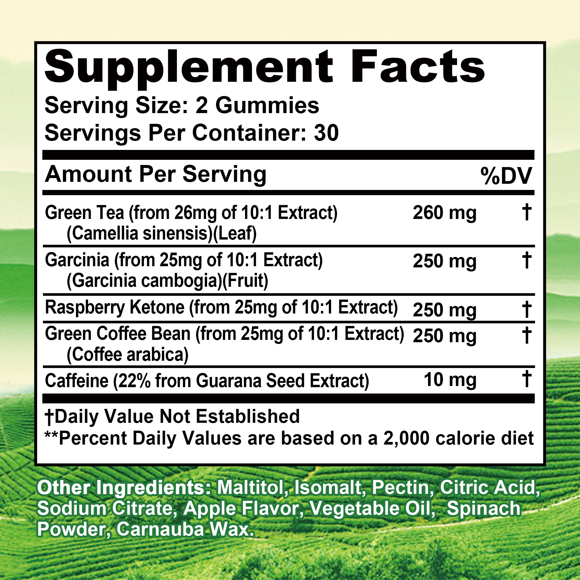 Green Tea Gummies - Belly Fat Burning, Metabolism Boosting, Appetite Suppression, Weight Management - 60 Gummies