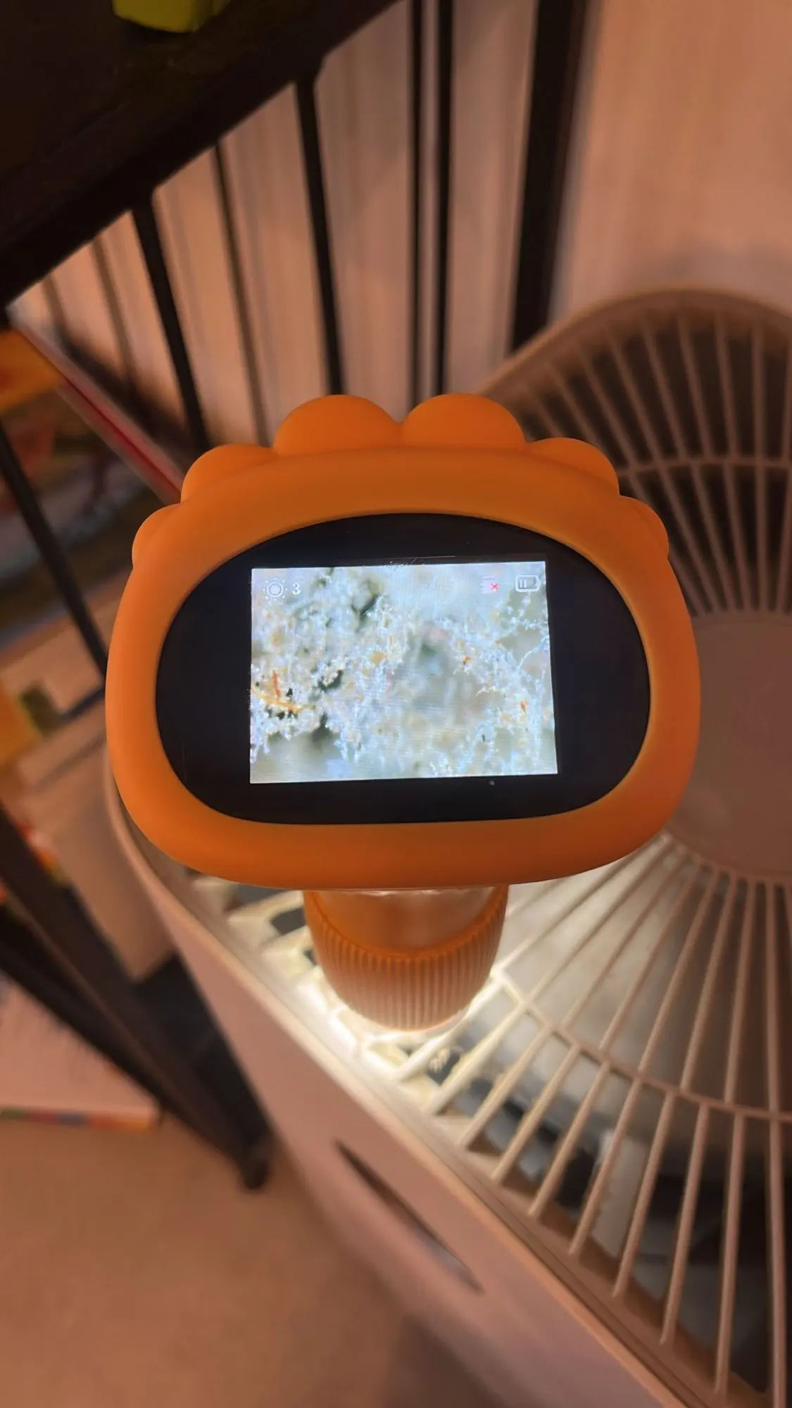 Review image