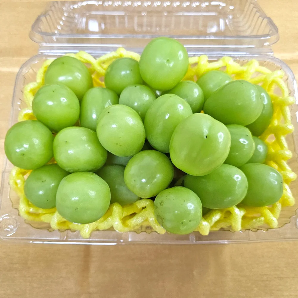 [깊은향기] 망고향 샤인머스켓