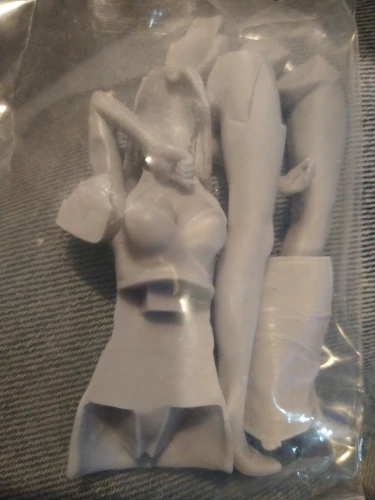 Buyer photo of this resin kit