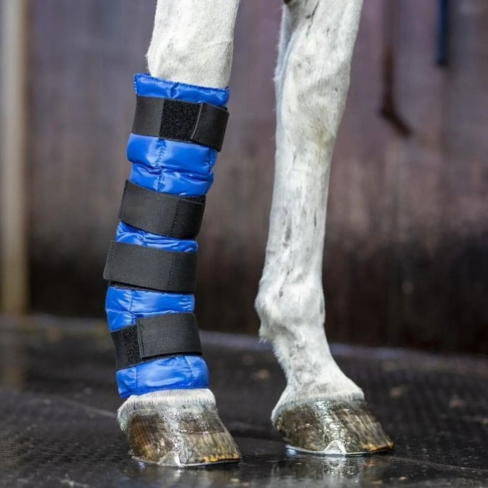 Horse Ice Leg Wrap Ice Pack with Flexible Straps 24 Grid Multifunctional Horse Cooling Wrap Ice Boot for Legs Knee Equestrian