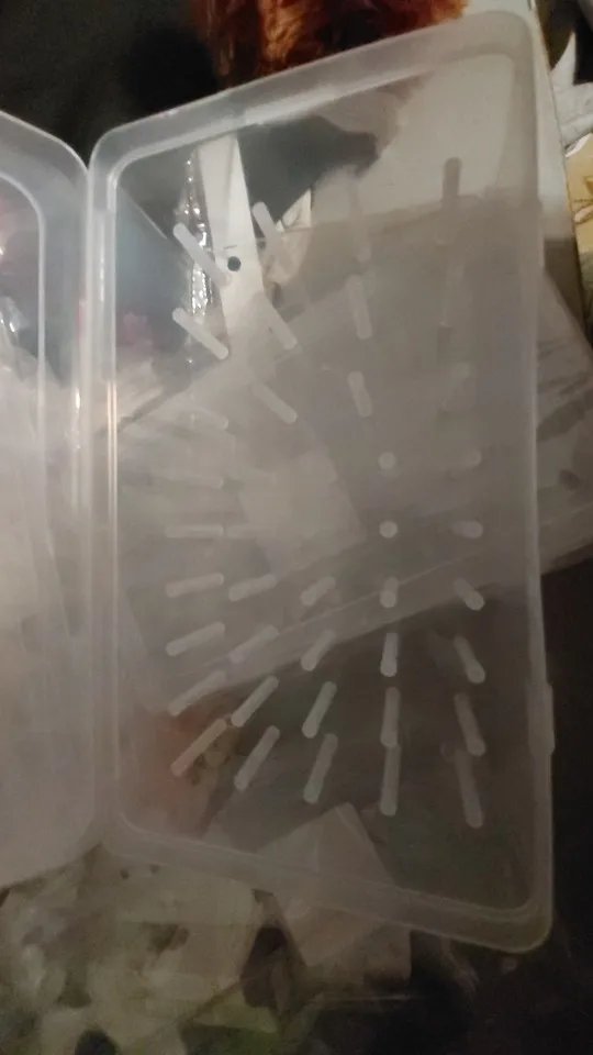리뷰 사진