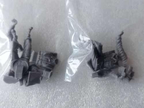 Buyer photo of this resin kit