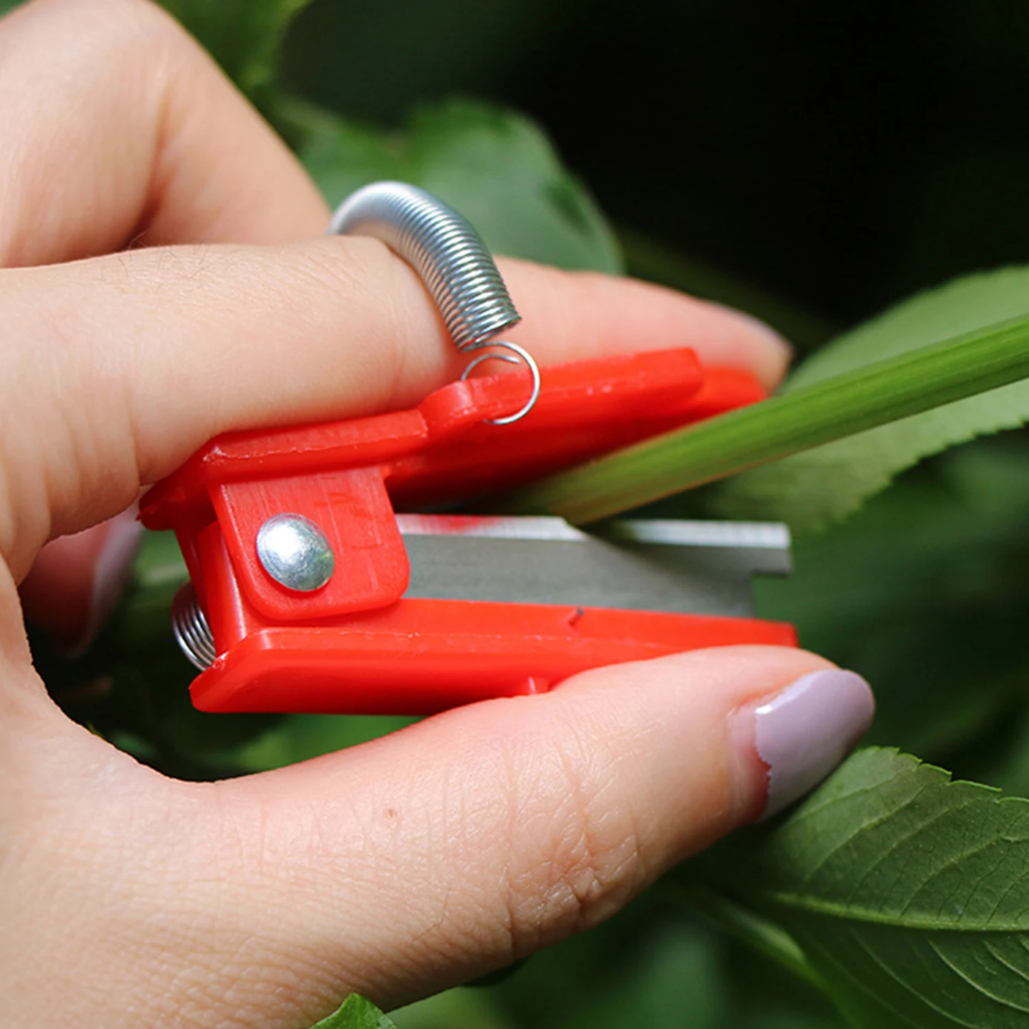 

Multifunction Thumb Knife Garden Pruner Fruit Picking Device Safe Fruit Blade Tool Cutting Blade Rings Finger Protector Catcher