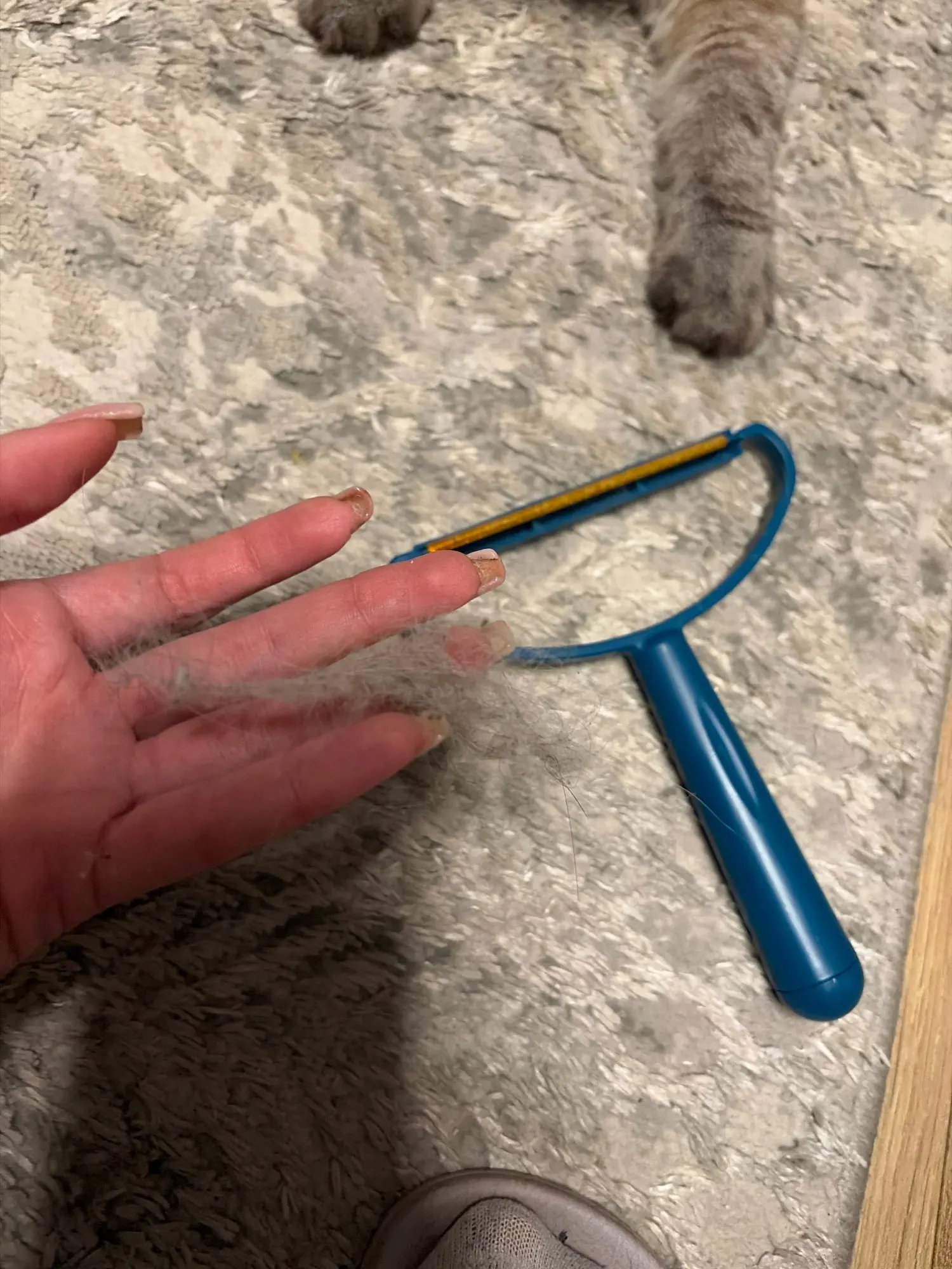 Customer review photo for Manual Pet Hair & Lint Remover Brush