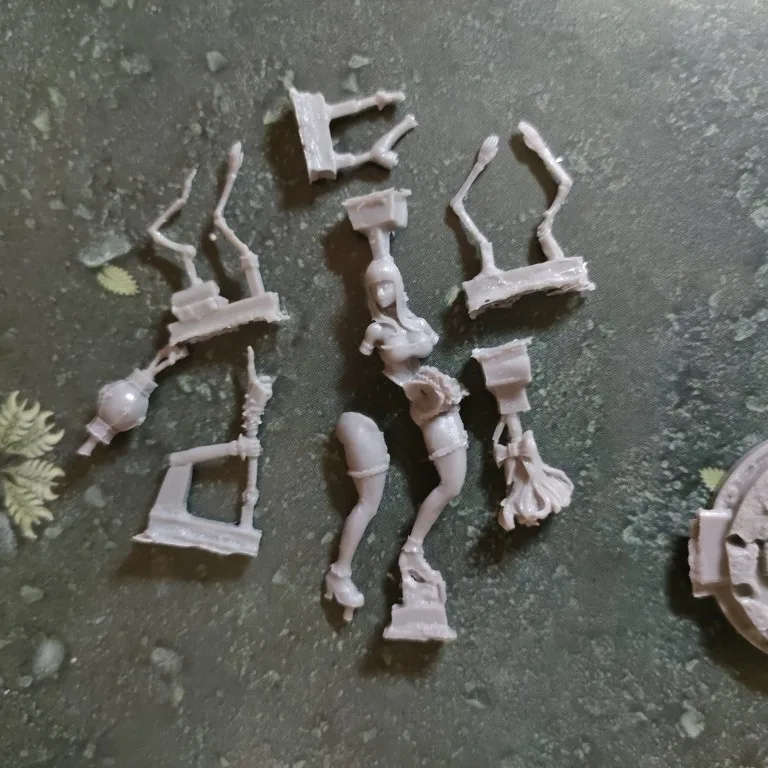 Buyer photo of this resin kit