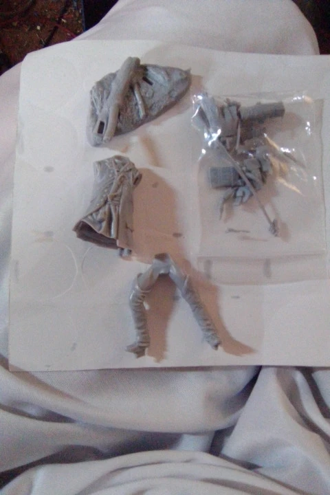 Buyer photo of this resin kit