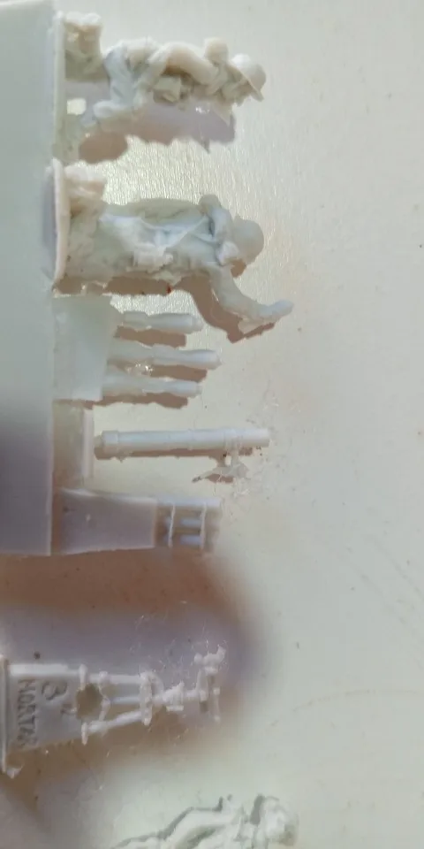 Buyer photo of this resin kit