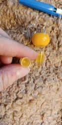 Imagen de reseña 4