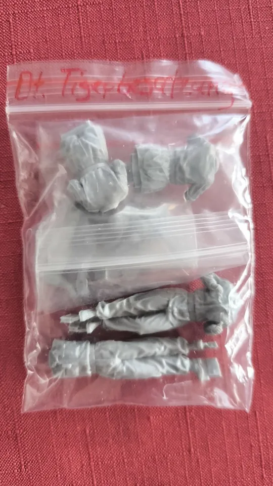 Buyer photo of this resin kit