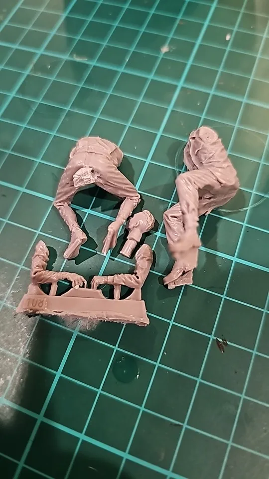 Buyer photo of this resin kit