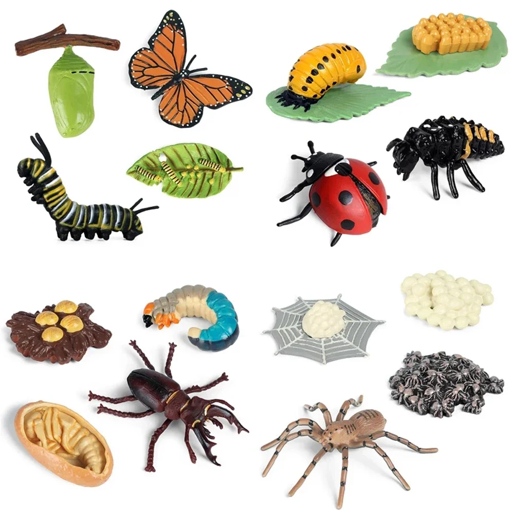 AliExpress UK Newest Simulation Animals Growth Cycle Model Bee Spider Butterfly Action Figures Figurine Cute Kids