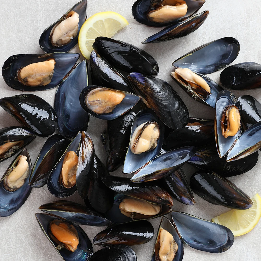 1kg of domestic mature mussels