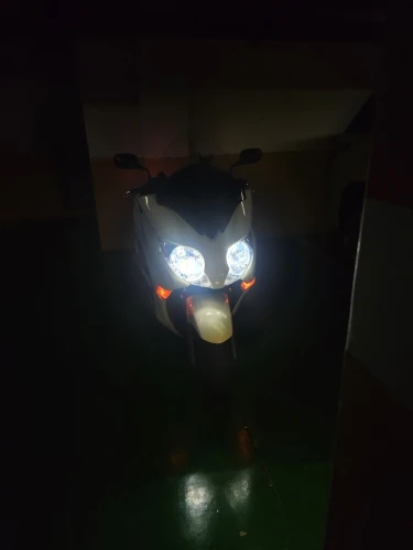 리뷰 사진