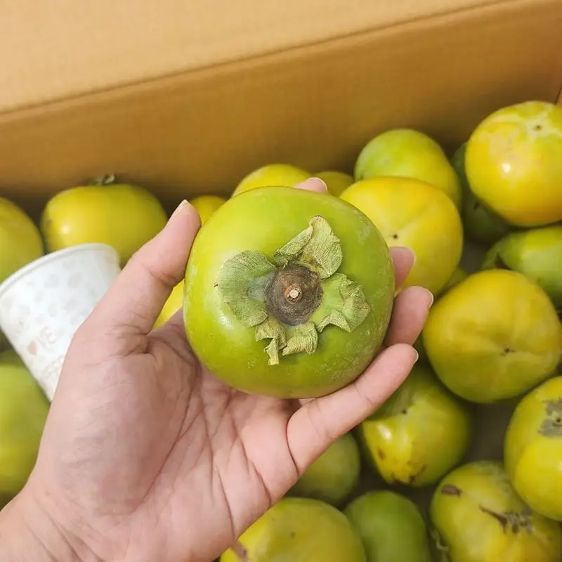 It's really sour. Domestic Yeongam sweet persimmon. Godang is also crunchy sweet sweet persimmon