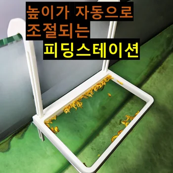 무리네 열대어 관상어 구피 냉짱 물고기 거북이 먹이 급여 사료 밥 그릇 피딩 스테이션 컵 드레이