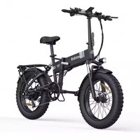 15Ah 250W/500W/1000W long range city ebike 20\