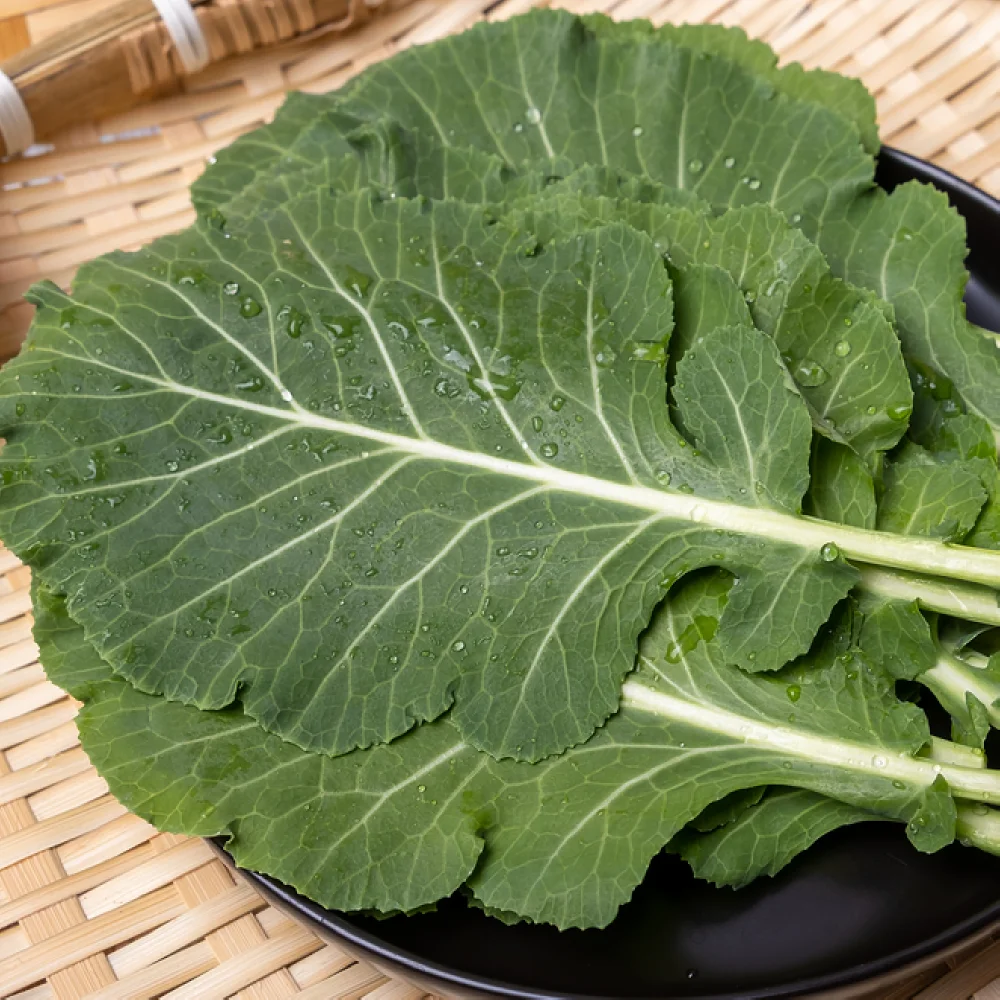 عصير كالي وطازج، عضوي، خالي من المبيدات، للعصير، للعصير.