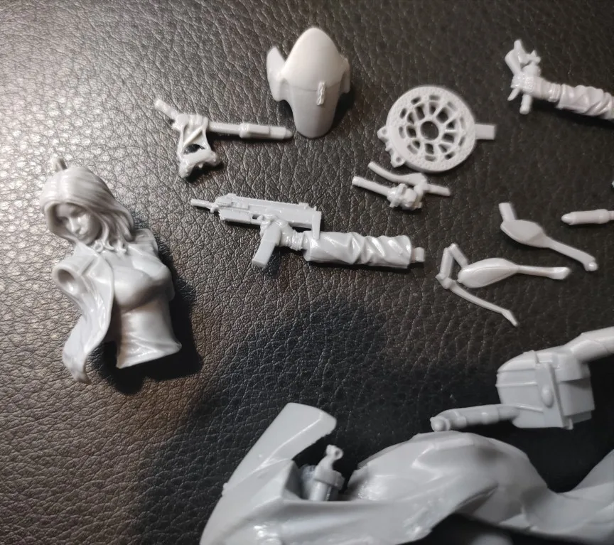 Buyer photo of this resin kit