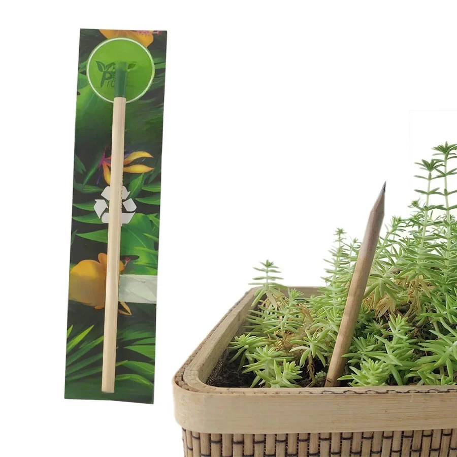 Crayons en bois plantables en graphite non aiguisés HB, crayon de culture, crayons organiques amontaux | Cadeau pour les enseignants, enfants créatifs