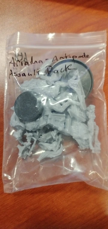 Buyer photo of this resin kit