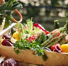 

Wholesale EMS Physiotherapy Muscle Stimulator Digital Tens Sculpting Machine Vacuum Infrared Heating Weight Loss Slimming Device