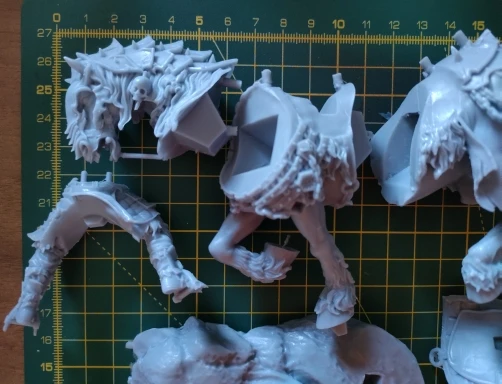 Buyer photo of this resin kit