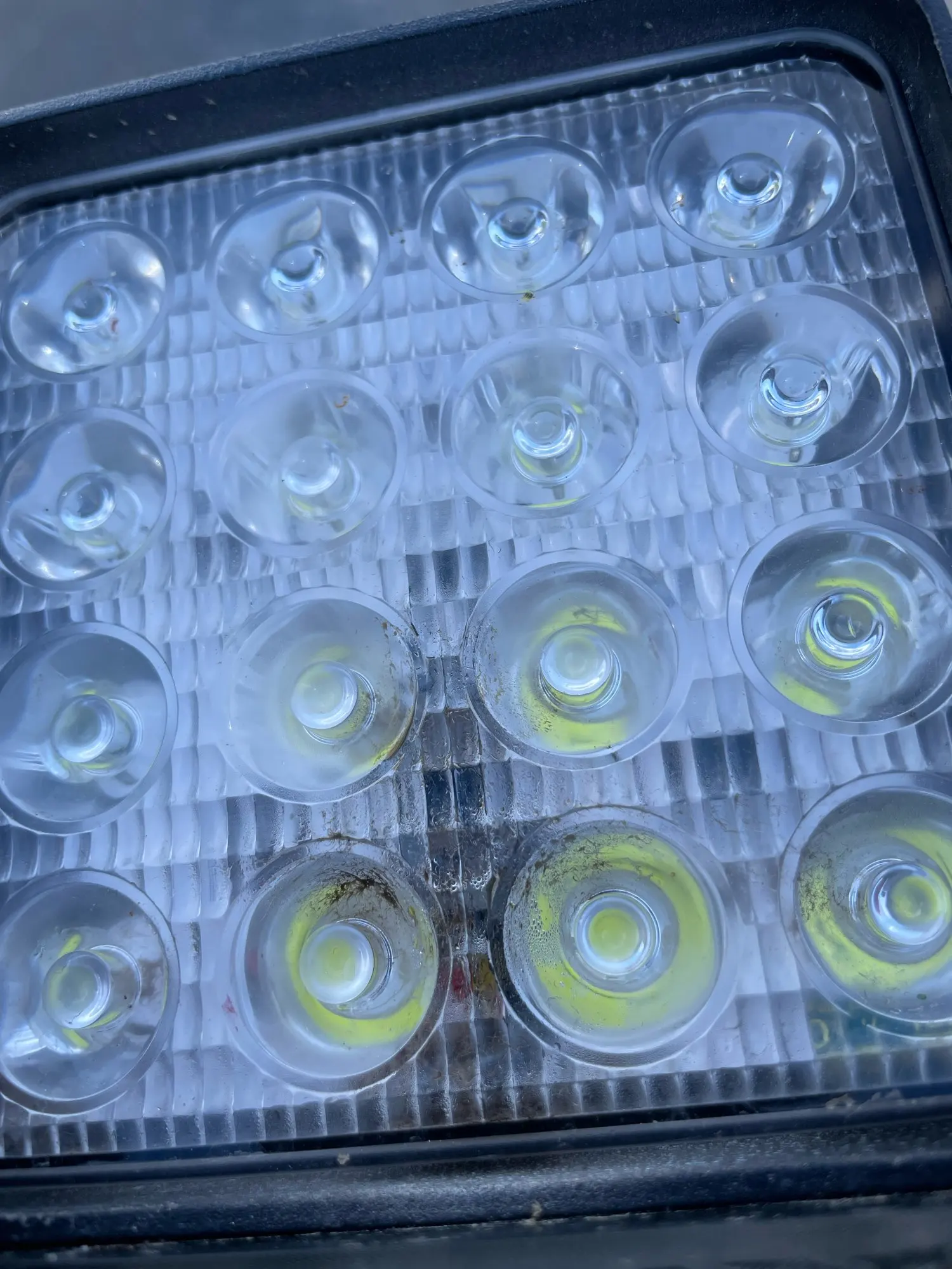 실물 포토 리뷰