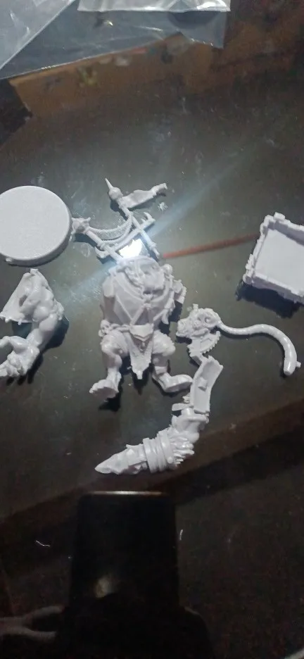 Buyer photo of this resin kit