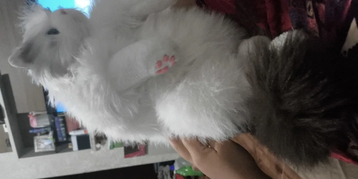 리뷰 사진