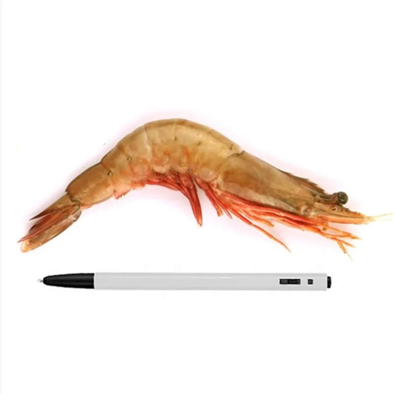 [바다우체국] 자연산 랍스타 바나나새우 1kg 무료배송(평일1시마감 당일발송 내일도착)