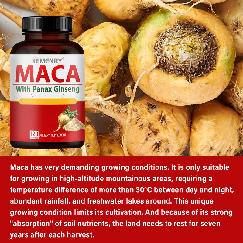 Maca and Panax Ginseng - Natural Energy and Mood Booster, Balances Hormone Levels, Promotes Reproductive Health - 120 Capsules