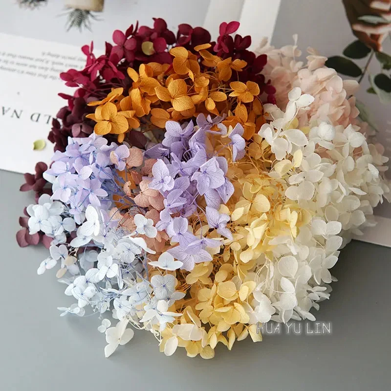 Hortensia coloré conservé, décoration de maison, décoration de mariage, petite feuille Anna hortensia époxy, matériel de bricolage fait à la main