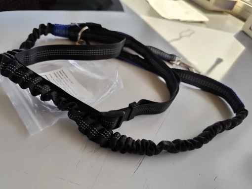 Customer review photo for Hands-Free Bungee Dog Leash with Adjustable Waist Belt