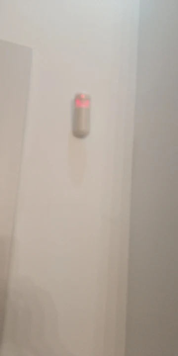 실물 포토 리뷰