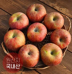 햇 부사 사과 가정용 A급 B급  2024년 수확