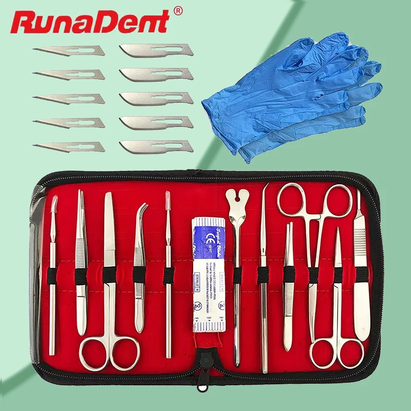 

22 шт., набор для стоматологической анатомии с зондом, ножницами, пинцетом для студентов, стоматологов, обучающей модели