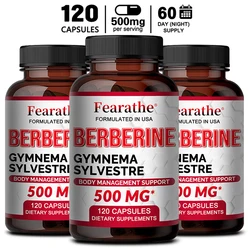 High Strength Berberine HCl - Berberine Supplements - Organic Gymnema Sylvestre,Supports Healthy Metabolic, Non-GMO