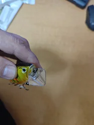 Imagen de reseña 2
