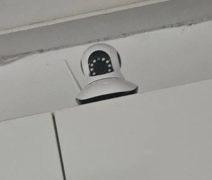 구매후기