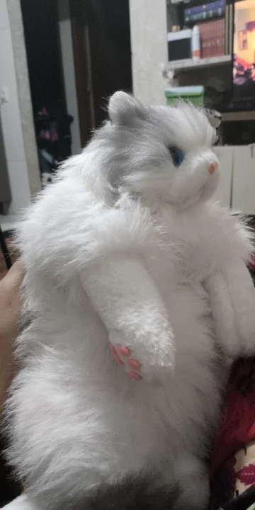 리뷰 사진