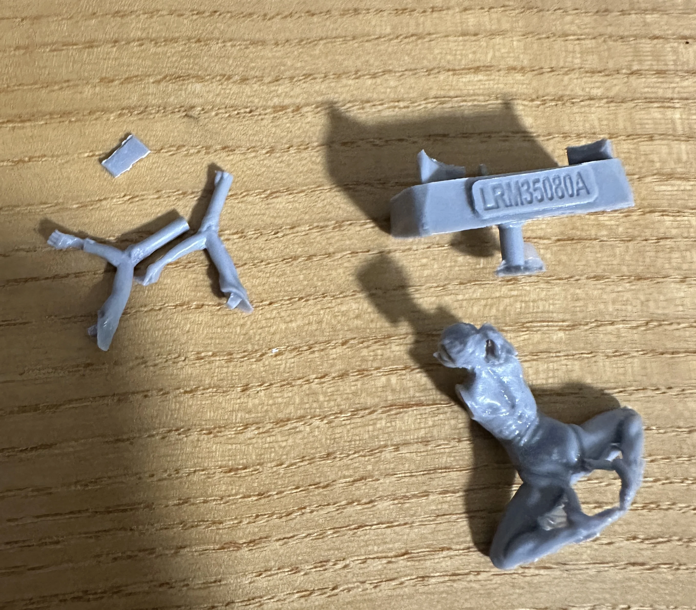 Buyer photo of this resin kit