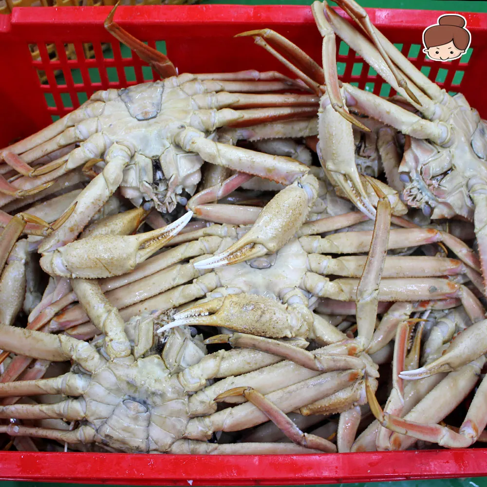 건어물녀 A급 활 선어 자숙 러시아 대게 3kg 매주 목,금요일 출고