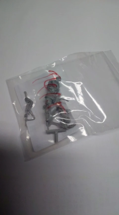 Buyer photo of this resin kit
