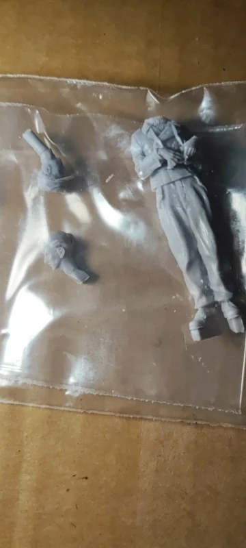 Buyer photo of this resin kit
