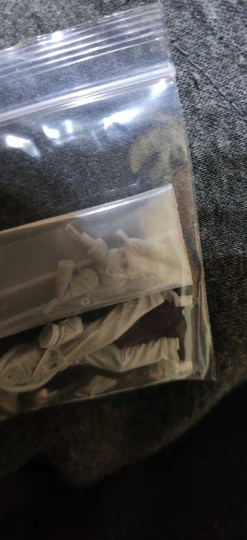 Buyer photo of this resin kit