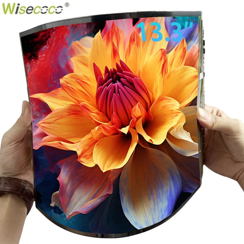 Wisecoo 13.3" 2K Ip…