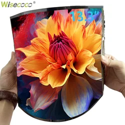 Wisecoo 13.3